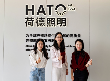 灯光照明行业办公空间焕新就来鉴黑担保网装饰